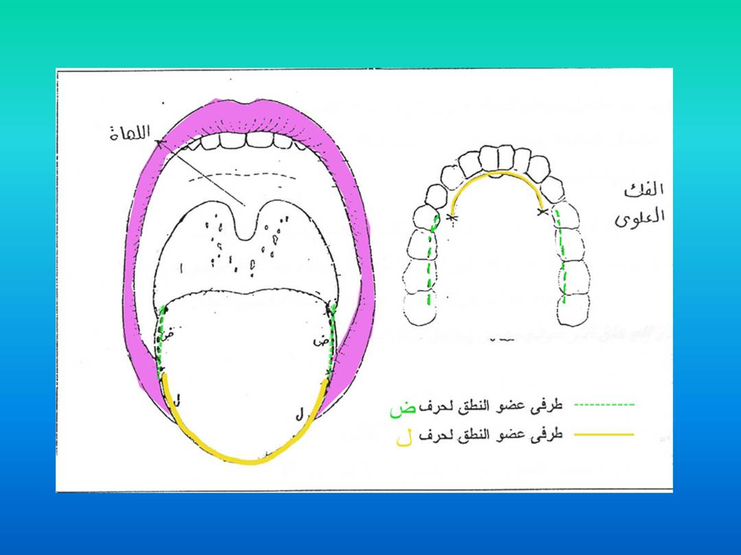 تجويد الحرف - مخارج الحروف